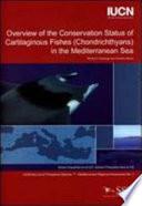 Overview of the Conservation Status of Cartilaginous Fishes (Chrondrichthyans) in the Mediterranean Sea