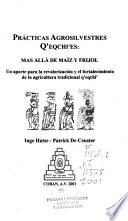 Prácticas agrosilvestres q'eqchi'es