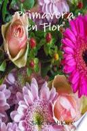 Primavera en flor
