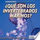 ¿Qué son los invertebrados marinos? (What Are Sea Invertebrates?)