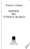 Rastros del guanaco blanco
