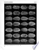 Revista española de micropaleontología