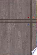 Rvr 1960 Biblia de Estudio Arco Iris, Gris Pizarra/Oliva Simil Piel Con Indice