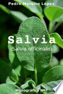 Salvia