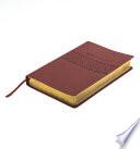 Libro Santa Biblia de Promesas Reina-Valera 1960 / Letra Gigante - 13 Puntos / Piel Especial / Café // Spanish Promise Bible Rvr60 / Giant Print - 13 Points