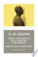 Sobre la metacrítica de la teoría del conocmiento