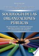 Sociología de las organizaciones Públicas