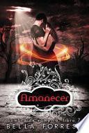Sombra de Vampiro 7