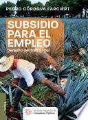 Subsidio para el empleo