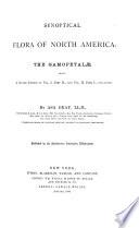 Synoptical Flora of North America