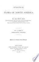 Synoptical Flora of North America