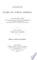 Synoptical Flora of North America: pt. 1. Polypetalae from the Ranunculaceae to the Frankeniaceae