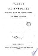 Tabla de anatomía...