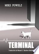 Terminal
