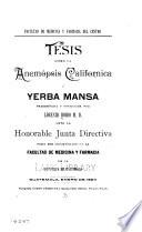 Tesis sobre la Anemopsis Californica o yerba mansa