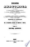 Tratado completo de anatomía quirúrjica, general y topográfica del cuerpo humano, o sea anatomía considerada en sus relaciones con la patología y la medicina operatoria