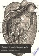 Tratado de anatomia descriptiva