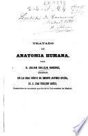 Tratado de anatomía humana