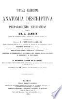 Tratádo elemental, de anatomía descriptiva y de preparaciones anatómicas por el dr. A. Jamain ...