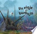 Un viaje en burbuja