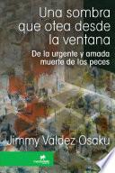 Una sombra que otea desde la ventana