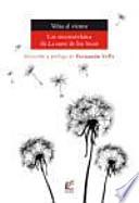 Velas al viento