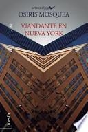 Viandante en Nueva York