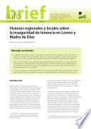Visiones regionales y locales sobre la inseguridad de tenencia en Loreto y Madre de Dios