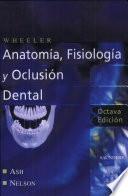 Wheeler Anatomia Dental, Fisiologia Y Oclusion