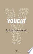 YouCat Español